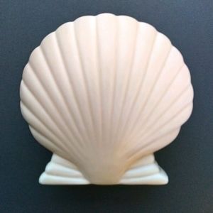 VTG Seashell Toothbrush/Pen Holder